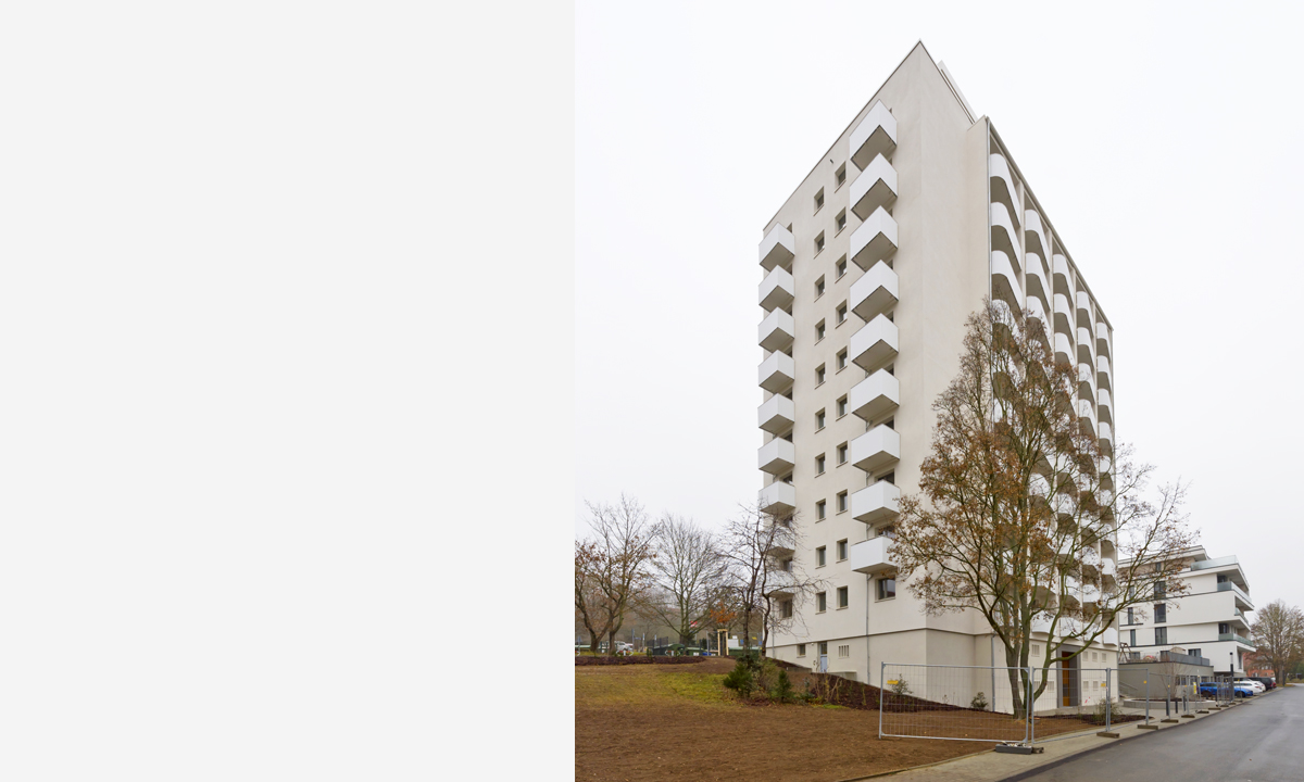 Copyright Michael Miltzow 2020 1646.jpg